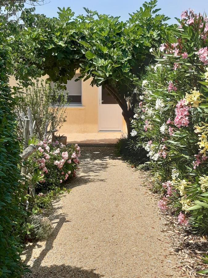 Petite Maison De Campagne Gardoise Théziers Dış mekan fotoğraf